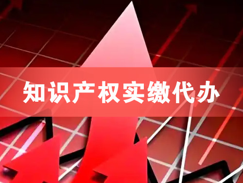 北安知识产权实缴资本代办